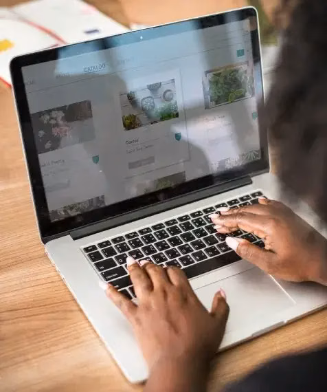 E-commerce software development