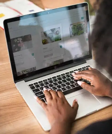 E-commerce software development