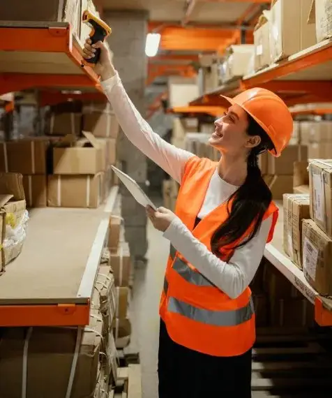 Logistics software development