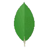 MongoDB