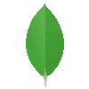 MongoDB